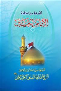 اشعة من عظمة الامام الحسین (ع)